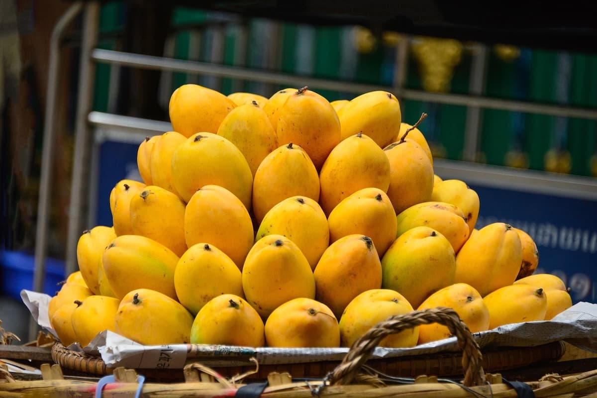 Delhi Mango Festival