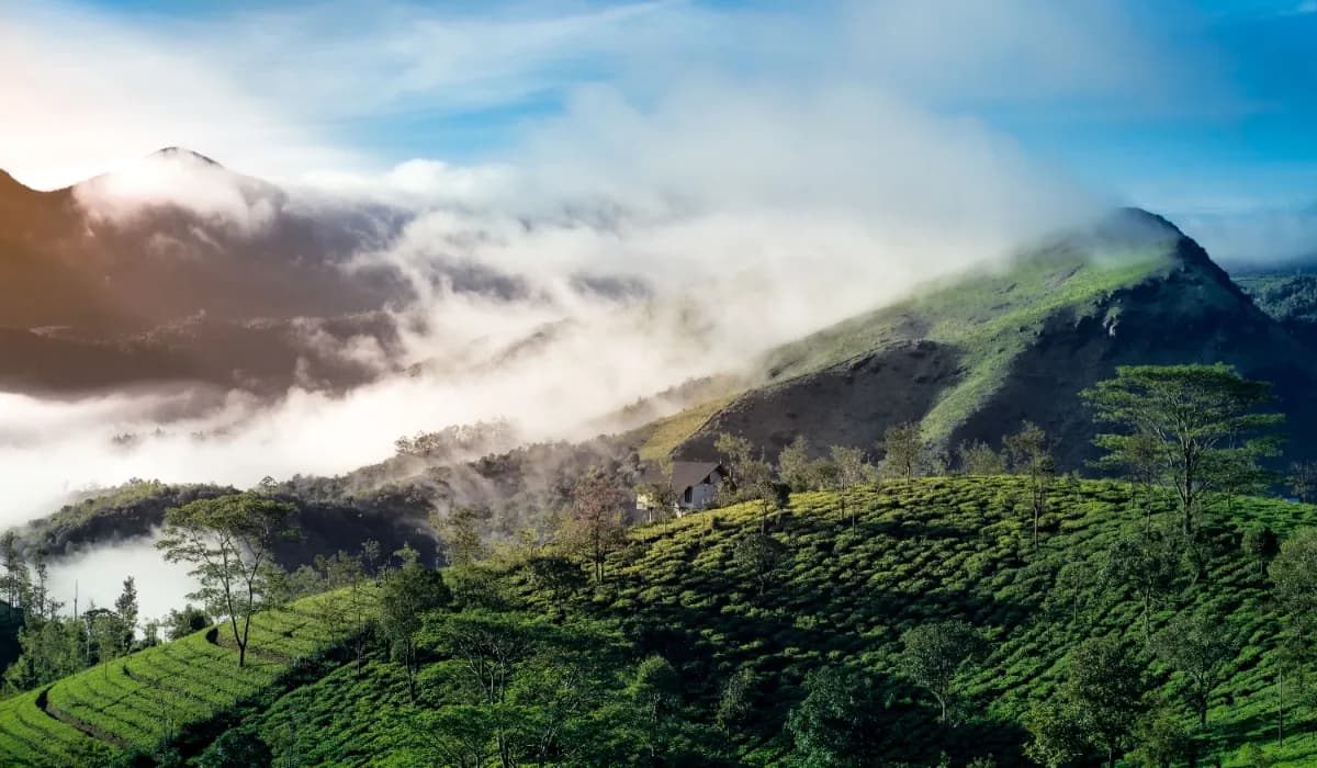 Best places to visit in Idukki, Kerala, featuring green hills, tea plantations, waterfalls, and scenic mountain landscapes