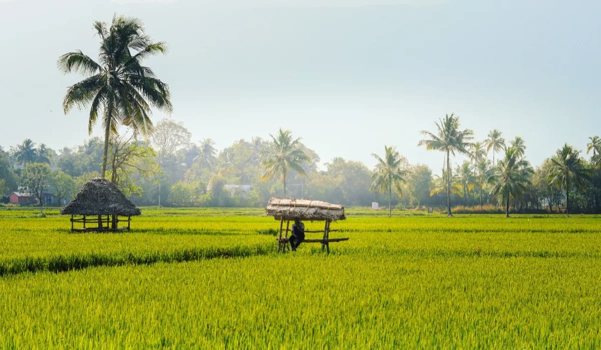 Places To Visit In Palakkad