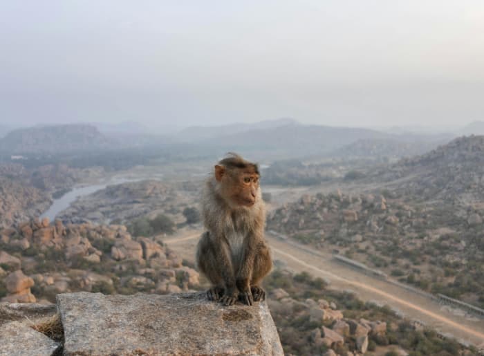 Ramanagara