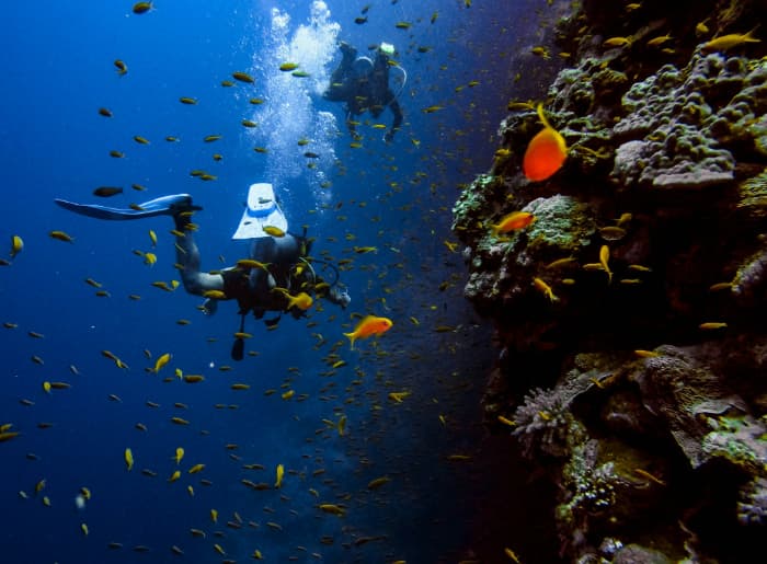 Things To Do In Port Blair