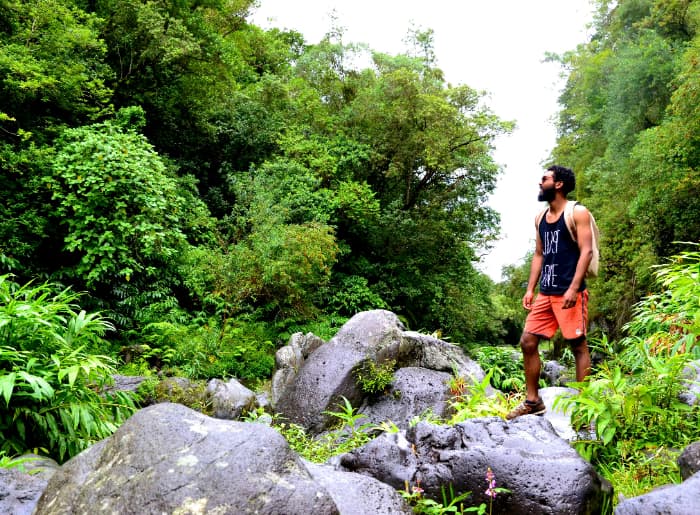 Trekking in the jungles