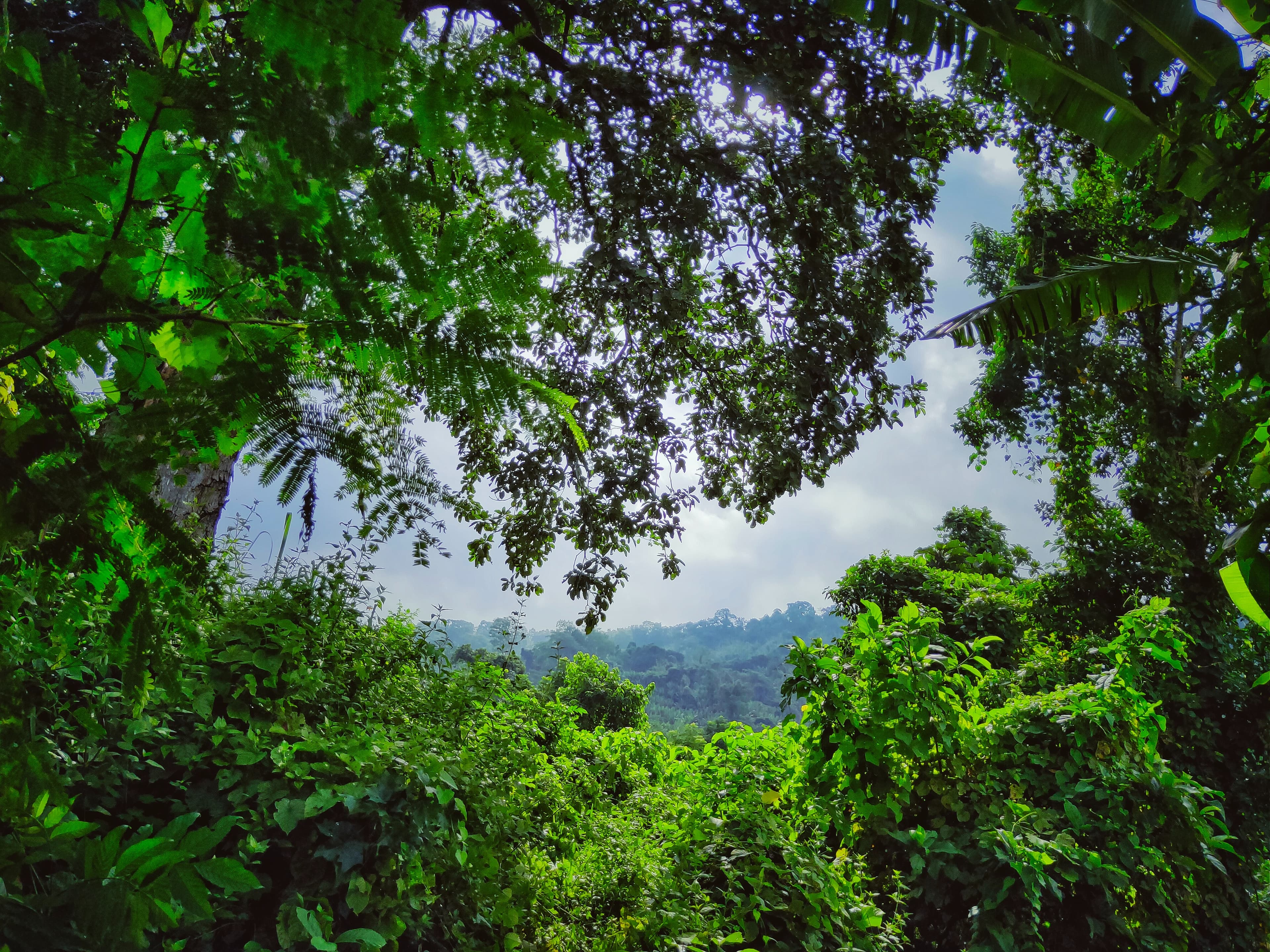 Tripura-feature