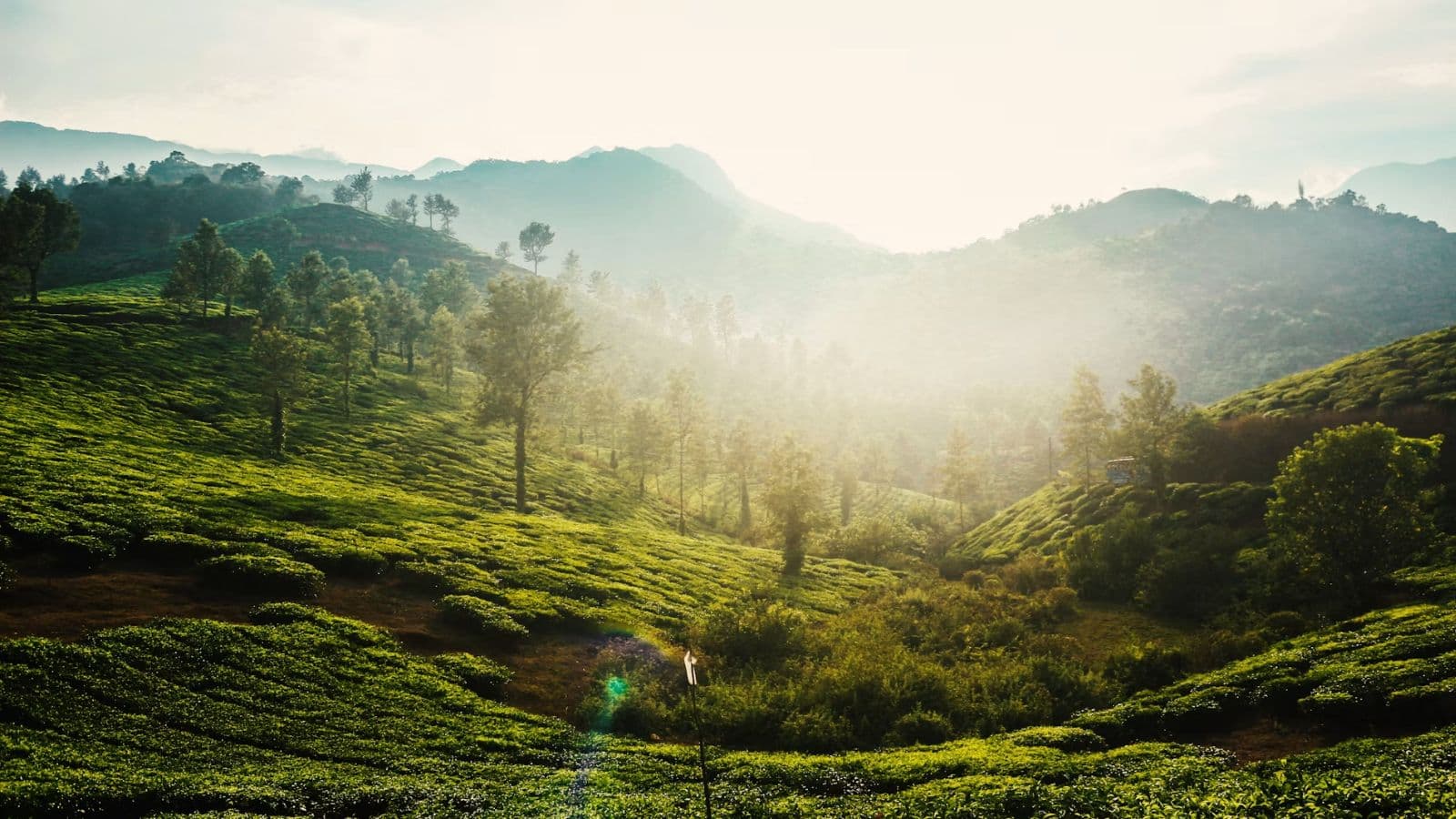 Wayanad 3 Days 2 Nights Itinerary