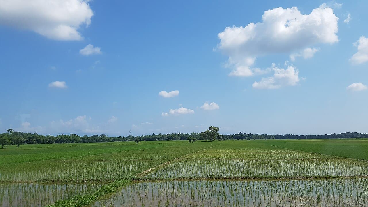 How To Explore Assam: Stay, Travel, Food, Permit & Other Things Explained