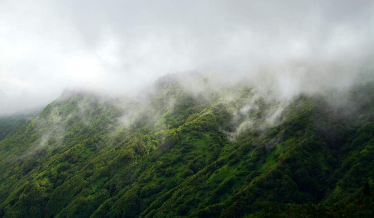 Yeoor Hills