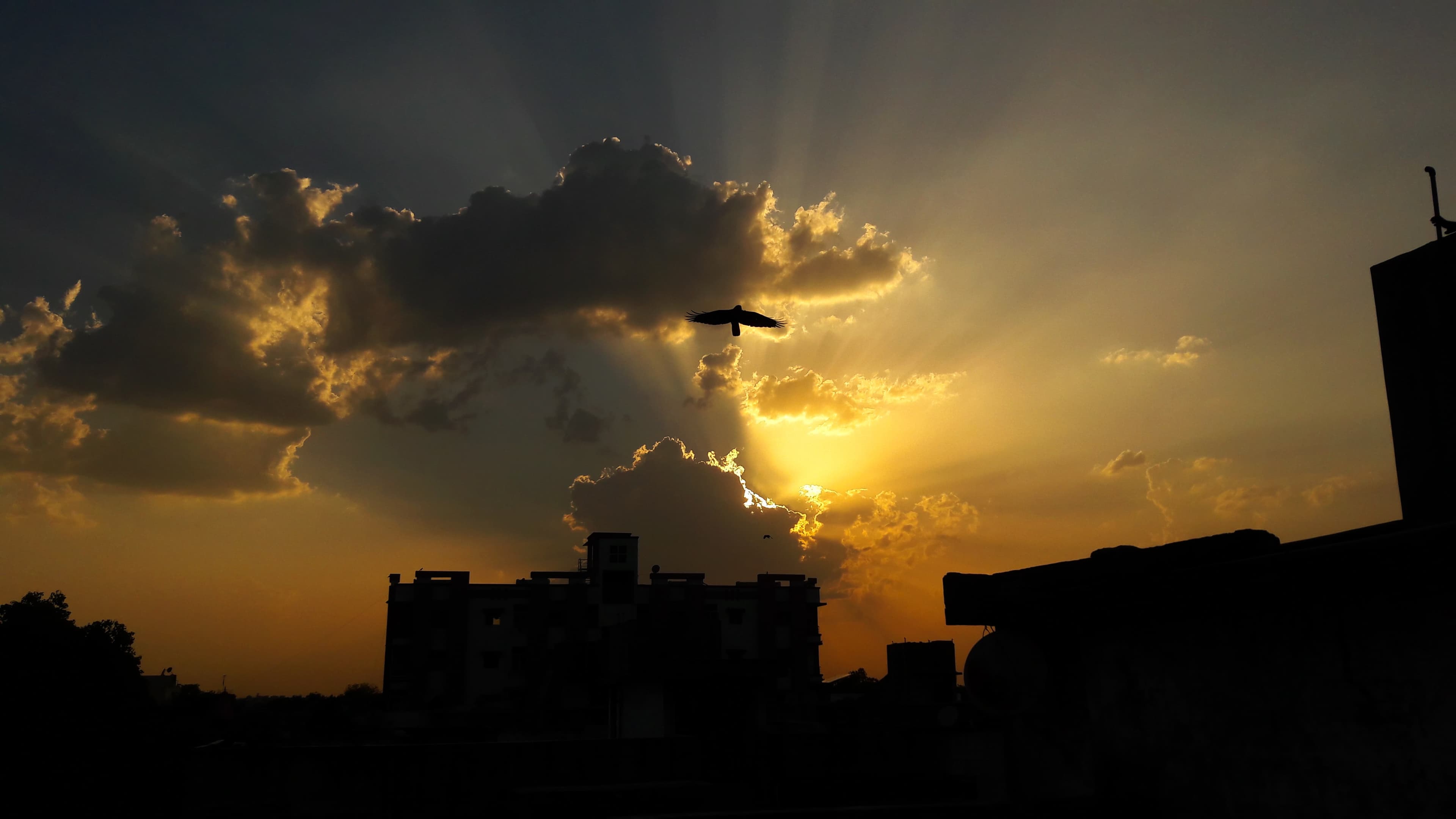 ahmedabad