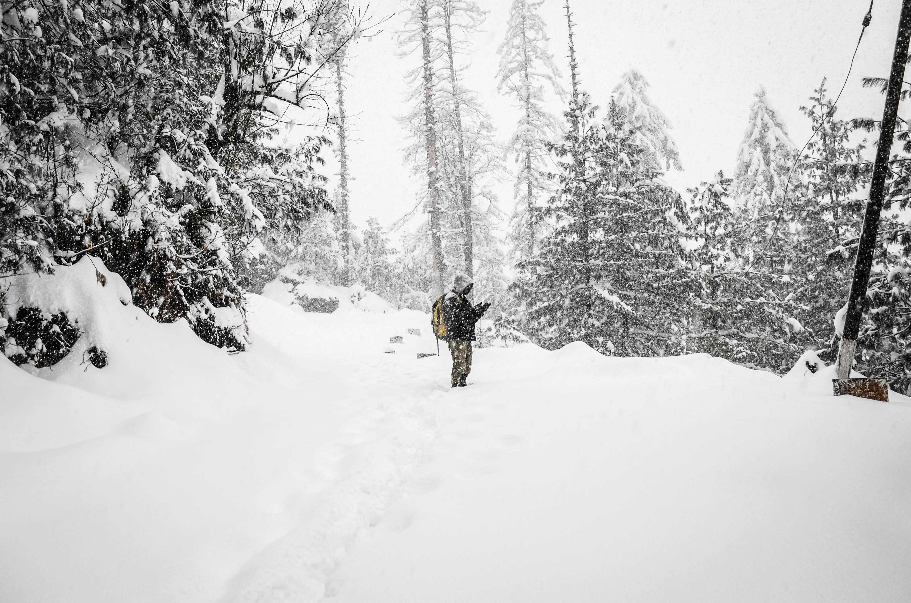 akhil-verma-MTHDC2LrYJI-unsplash-Shimla