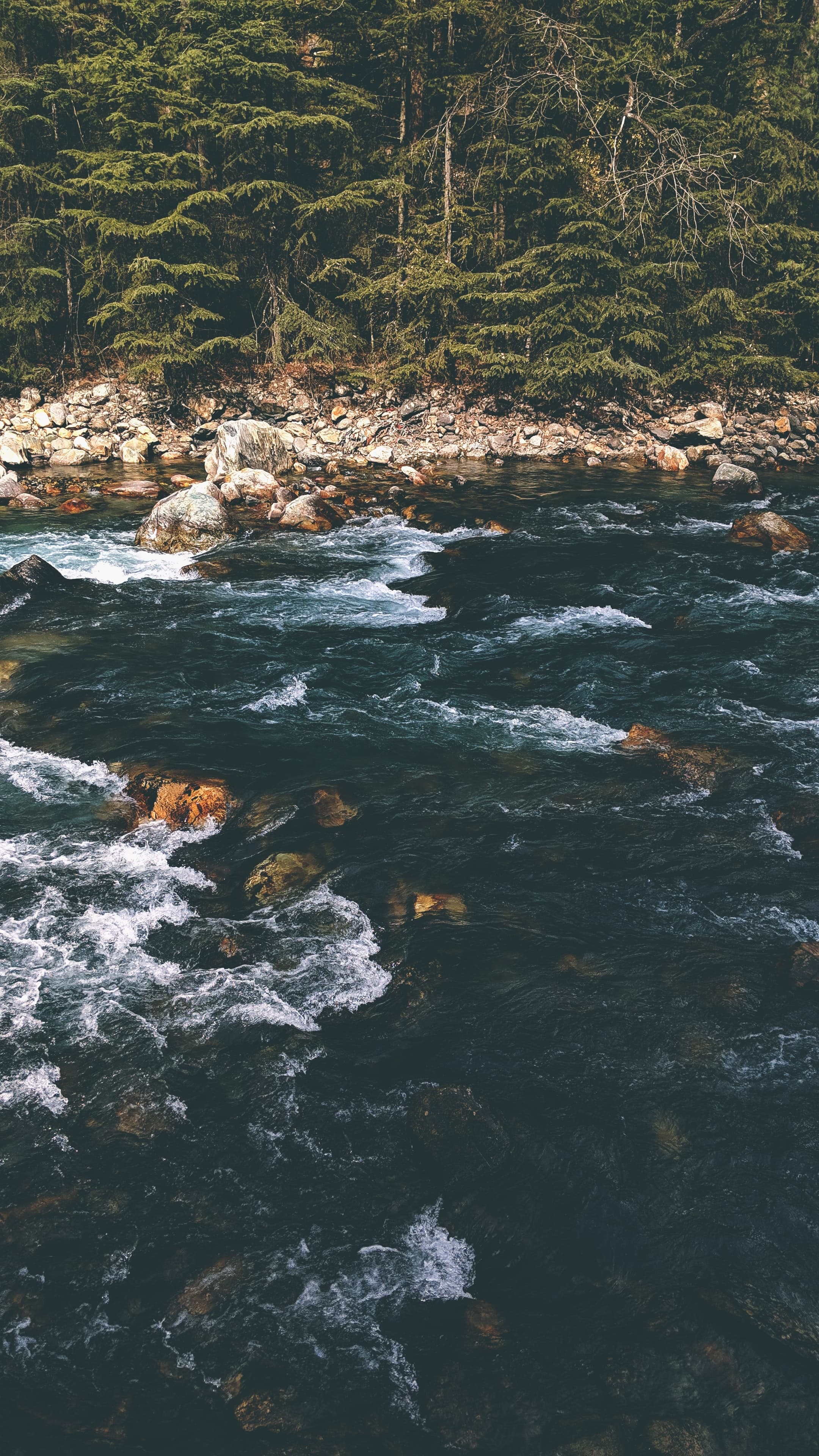 ashwini-chaudhary-Zvk6OCdcB7w-unsplash-Parvati-river-kasol