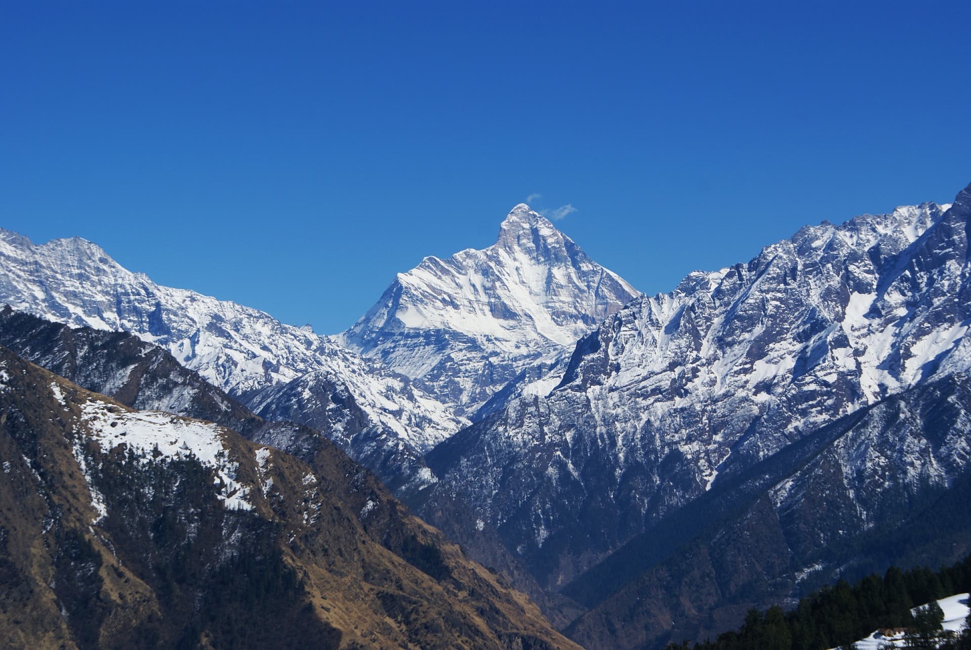 auli