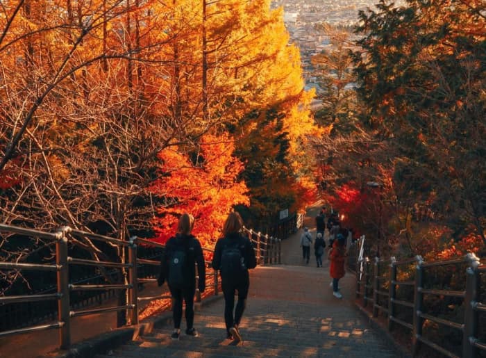 Places to see autumn leaves in October