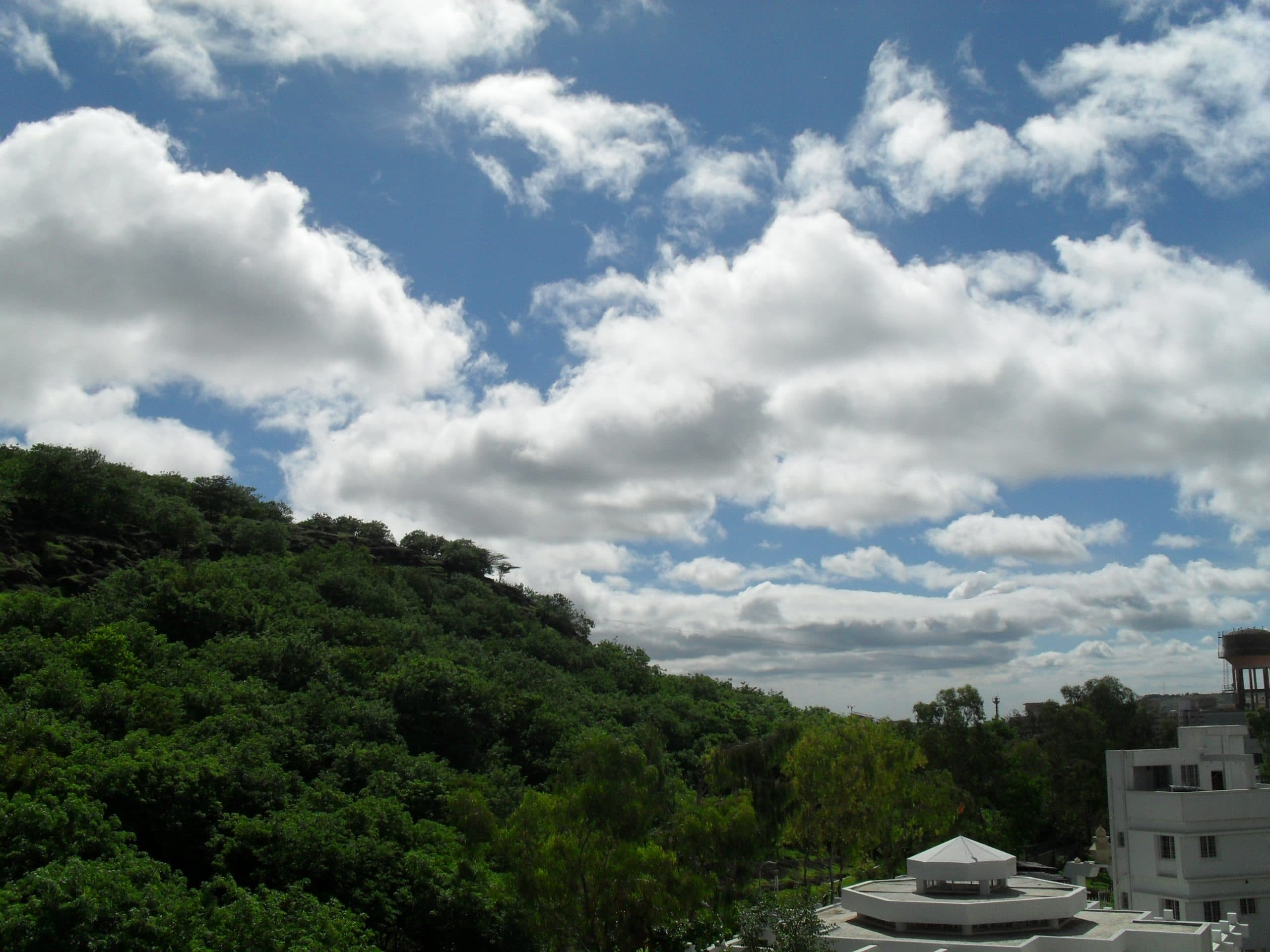 baner-hill-nature-from-my-house-scaled