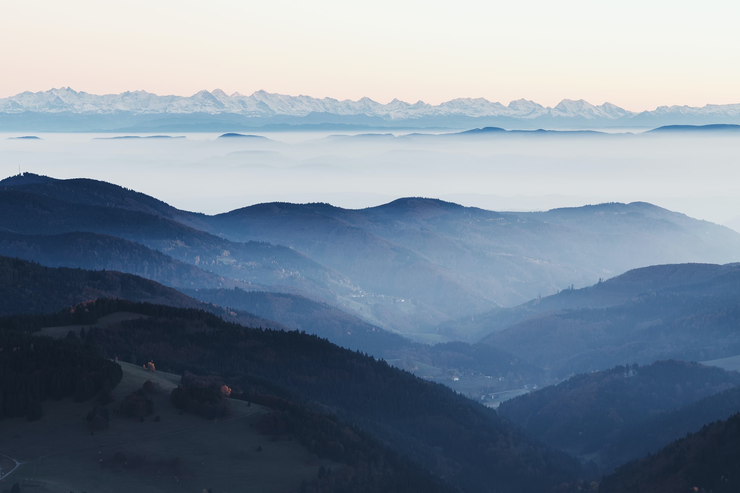 benni-asal-rgsn47ysj9u-unsplash
