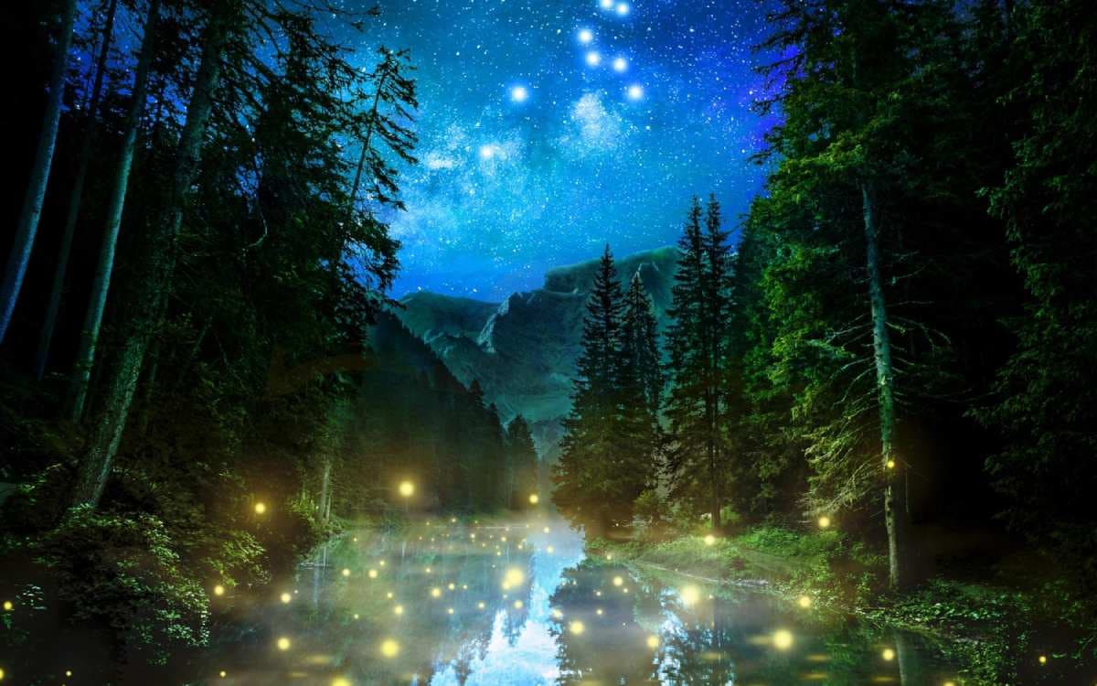 bhandardara fireflies festival