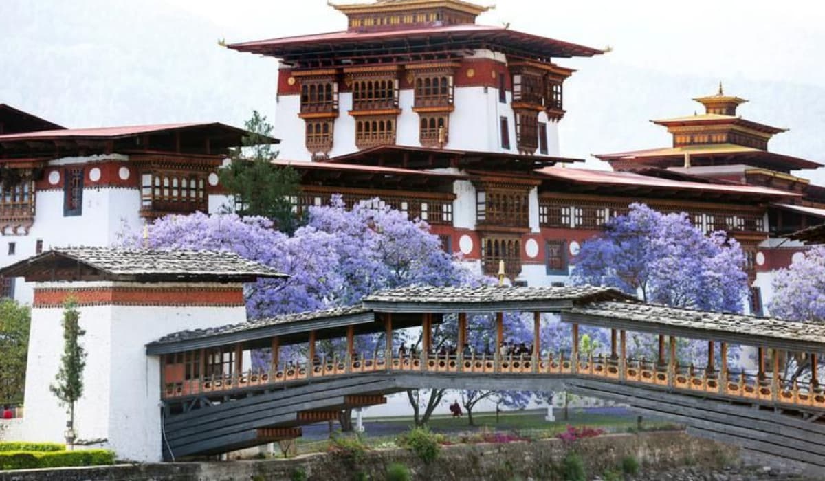 bhutan-independent-travel-without-tour-package (4)