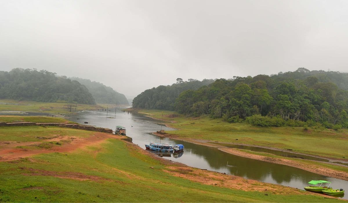 Complete Travel Guide to Thekkady