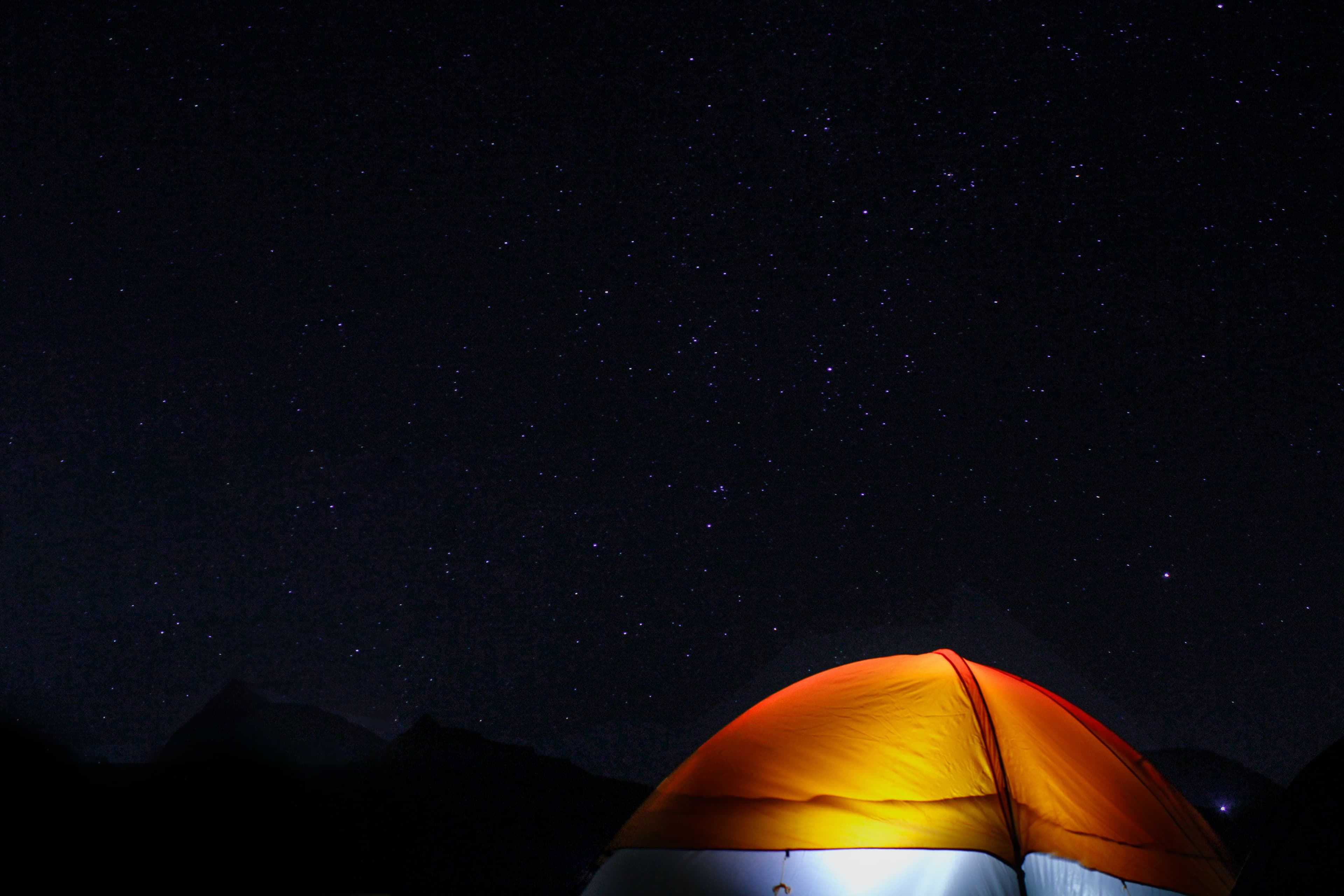 dexter-fernandes-q5ffDilxQT8-unsplash