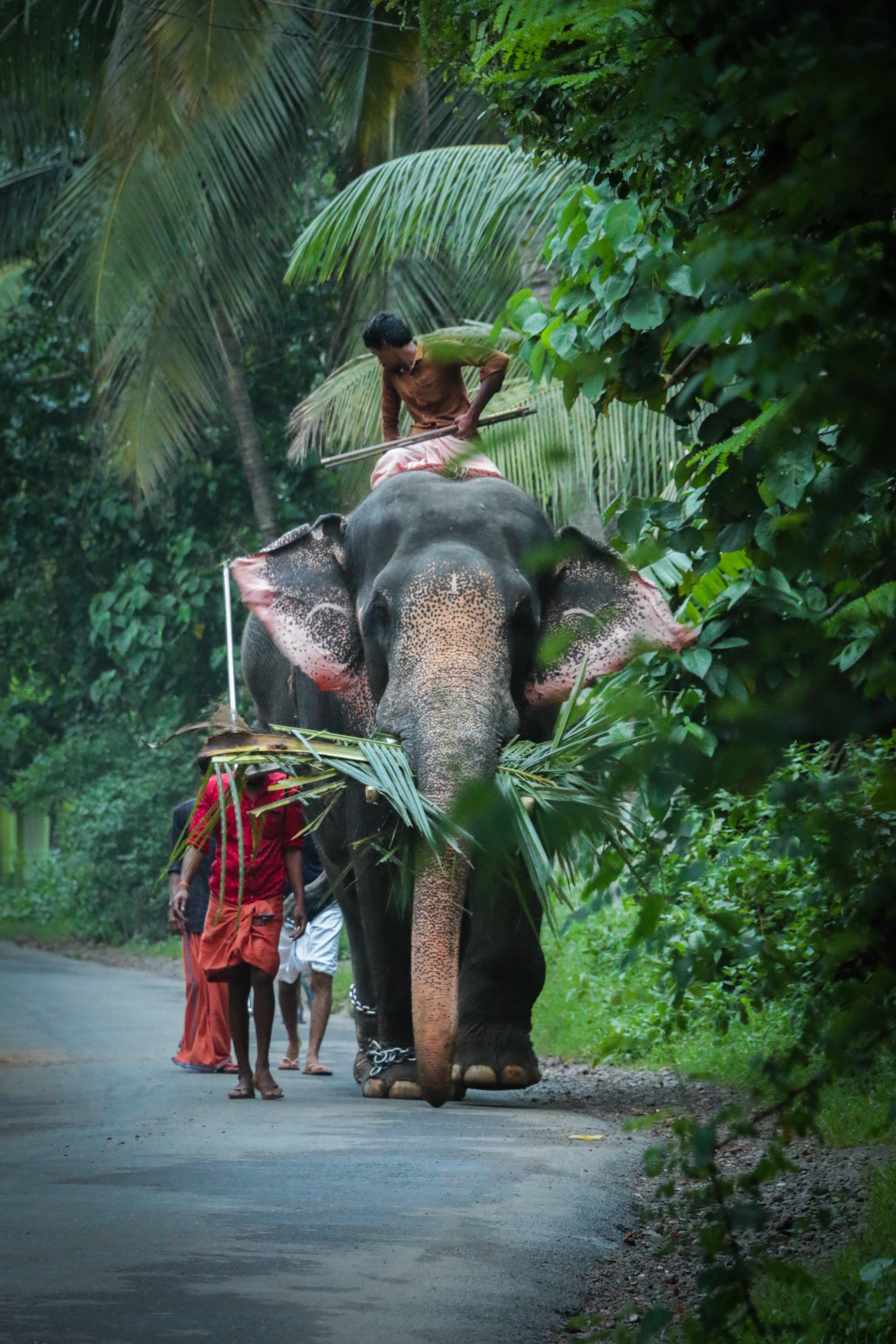 Kerala Itinerary 7 Days