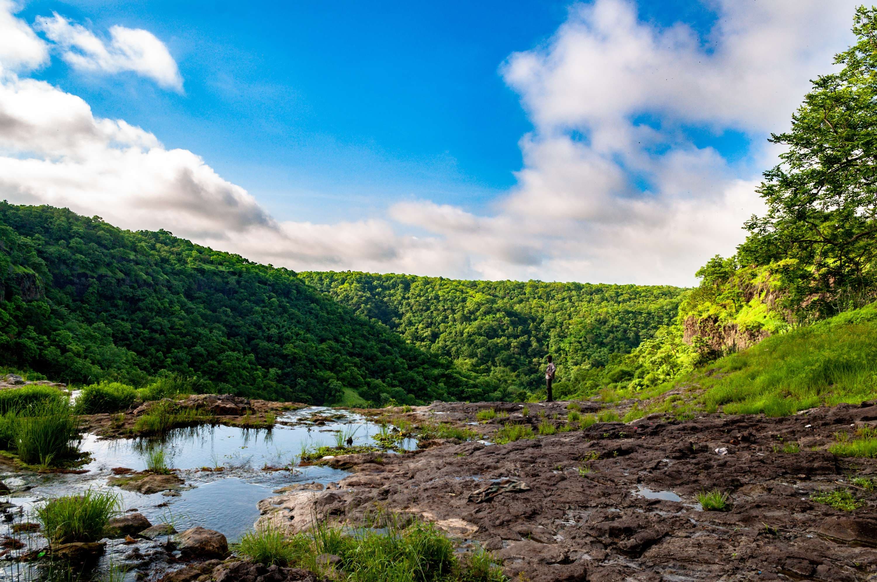 greenery-1