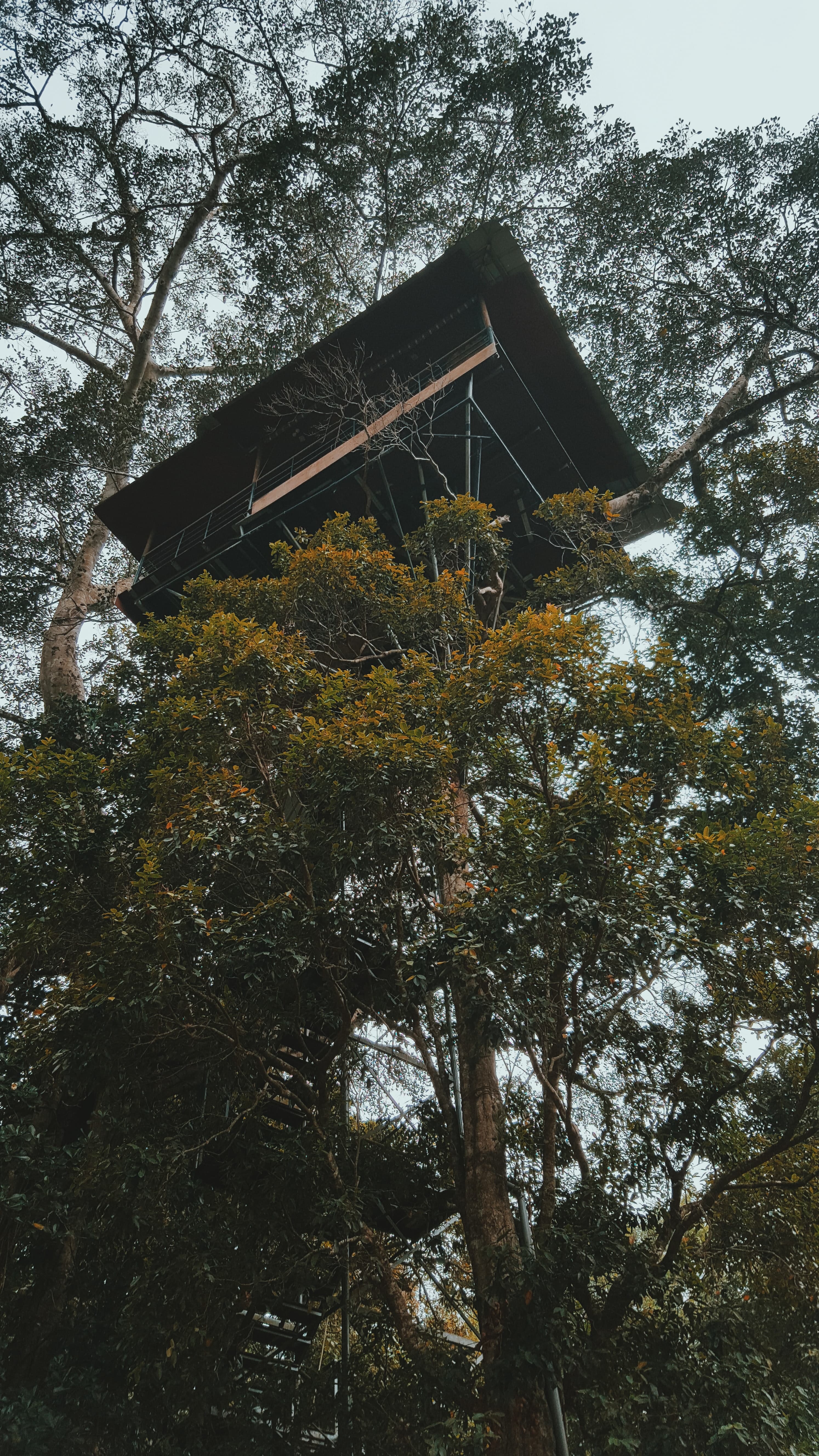 haseeb-hamza-23ol-dX5aD0-unsplash-Wayanad-Kerala