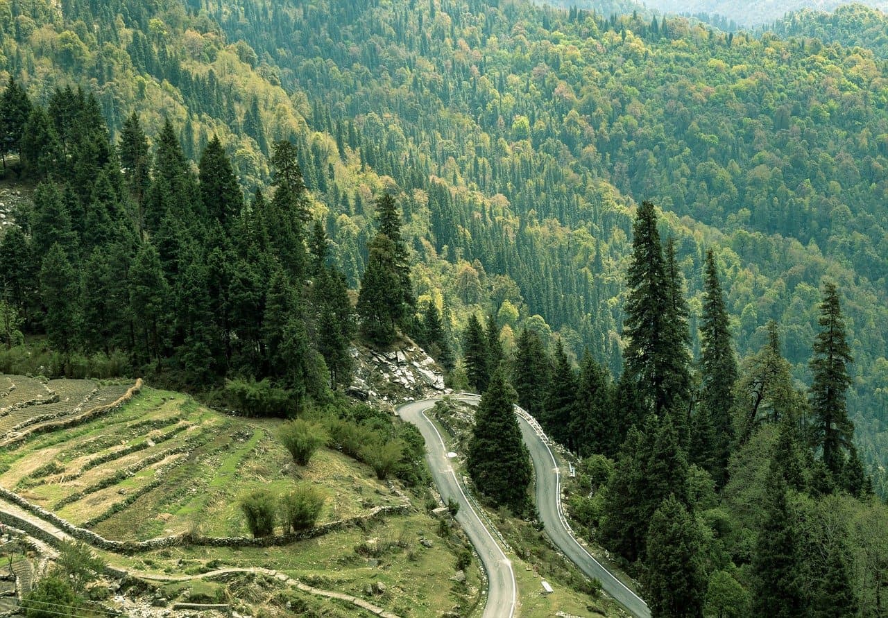 how-to-plan-a-solo-trip-to-uttarakhand-for-women