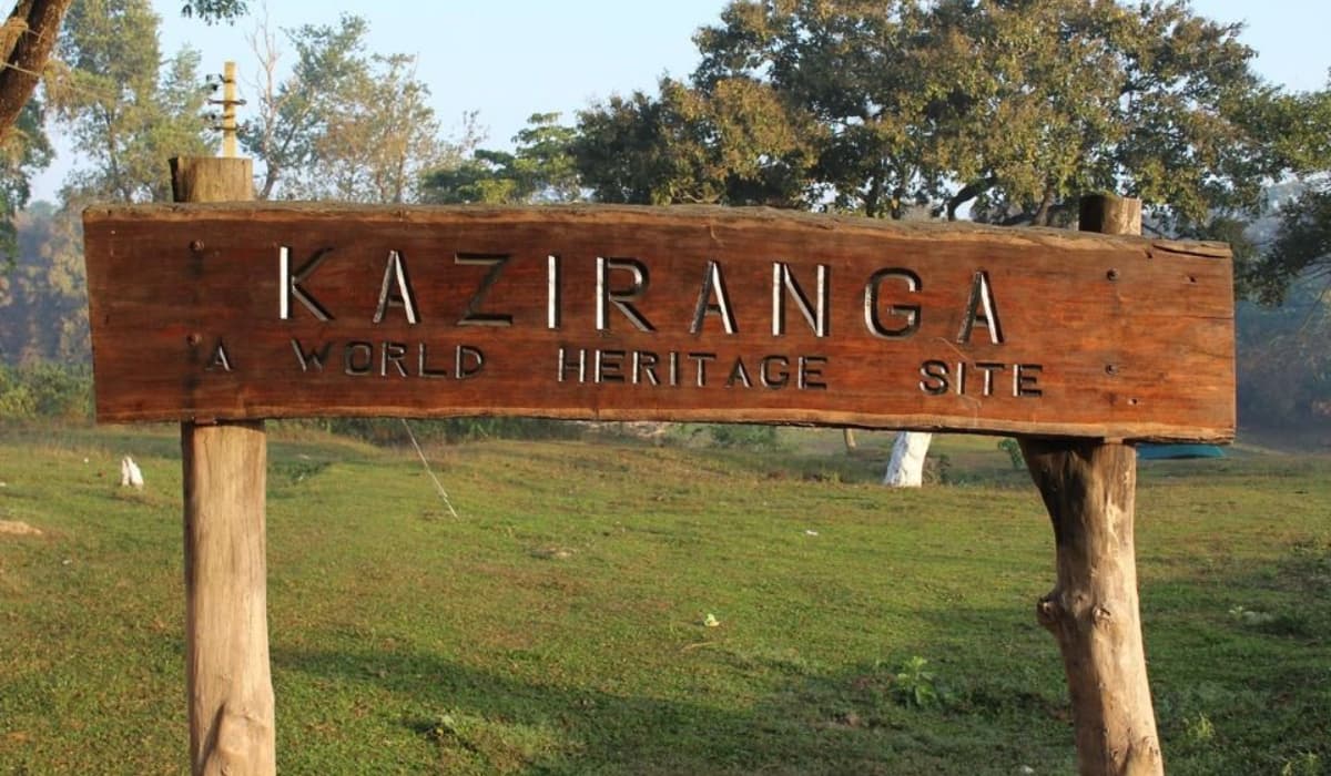 Jeep safari in Kaziranga National Park