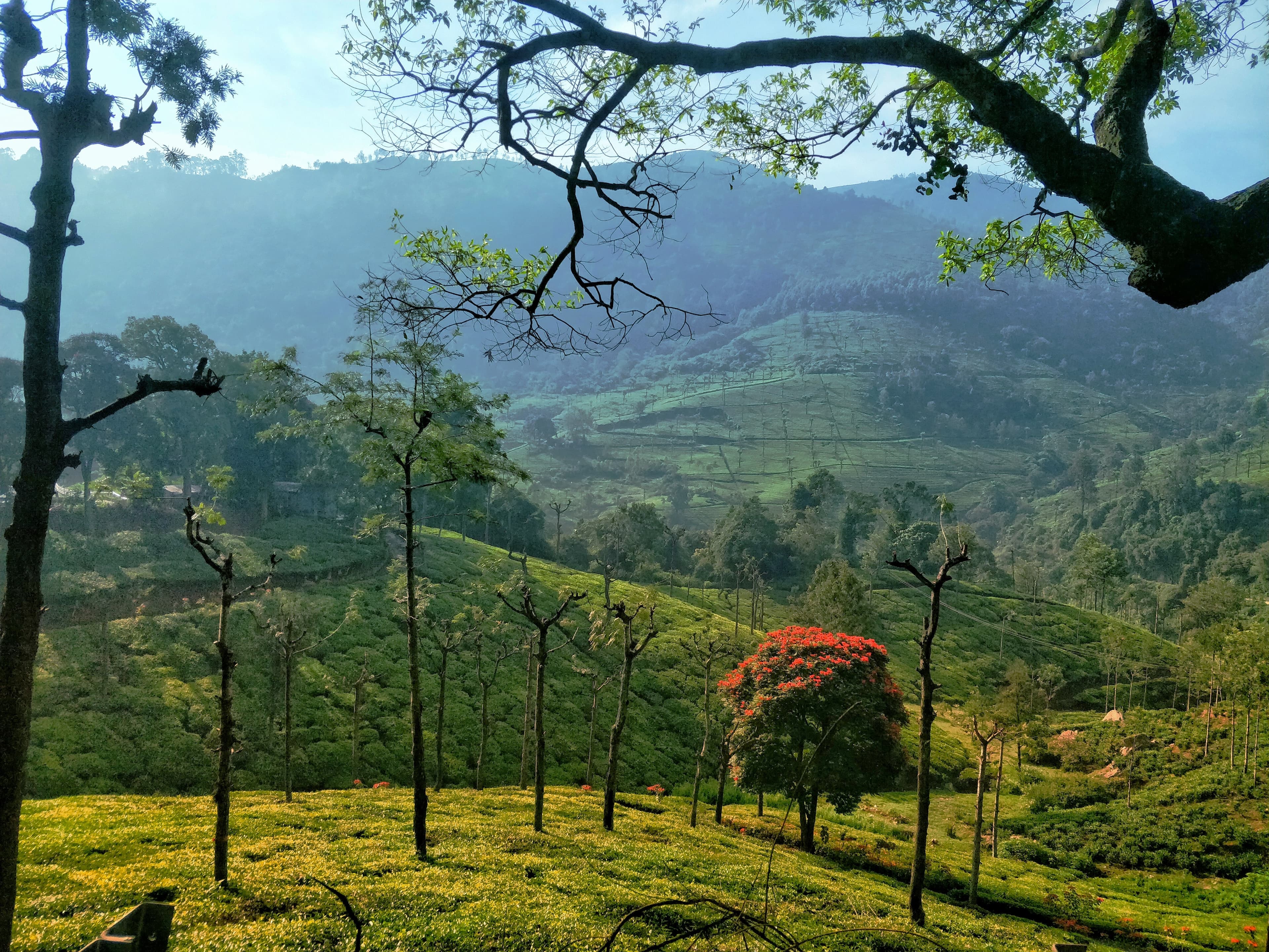 kumar-vivek-ph_C-DERTqE-unsplash-Ooty