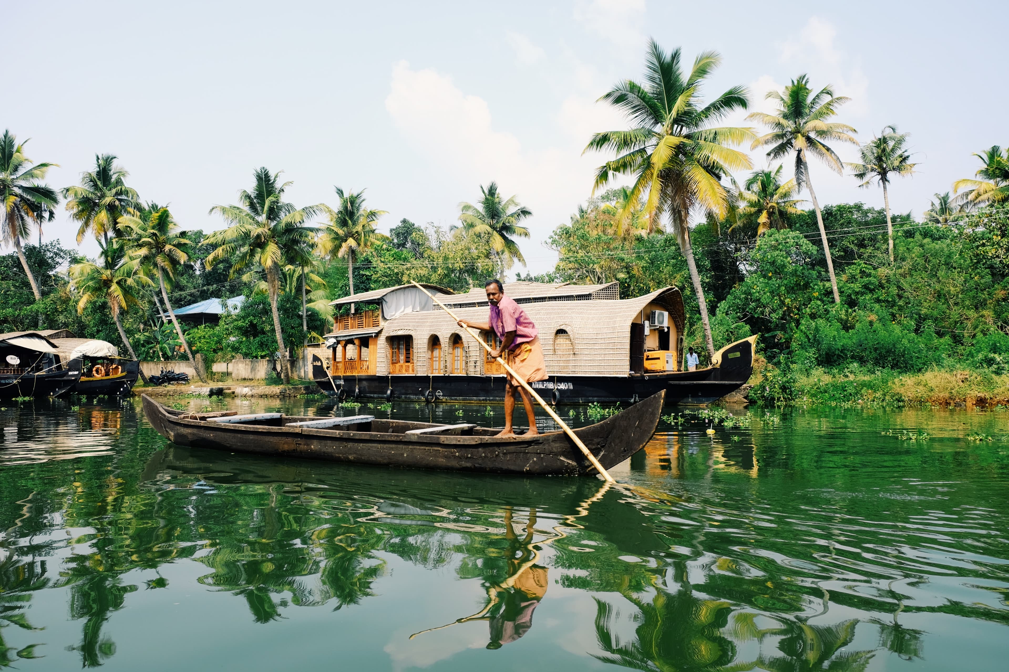 kyran-low-MvkLKGtBcUA-unsplash.-Alleppey