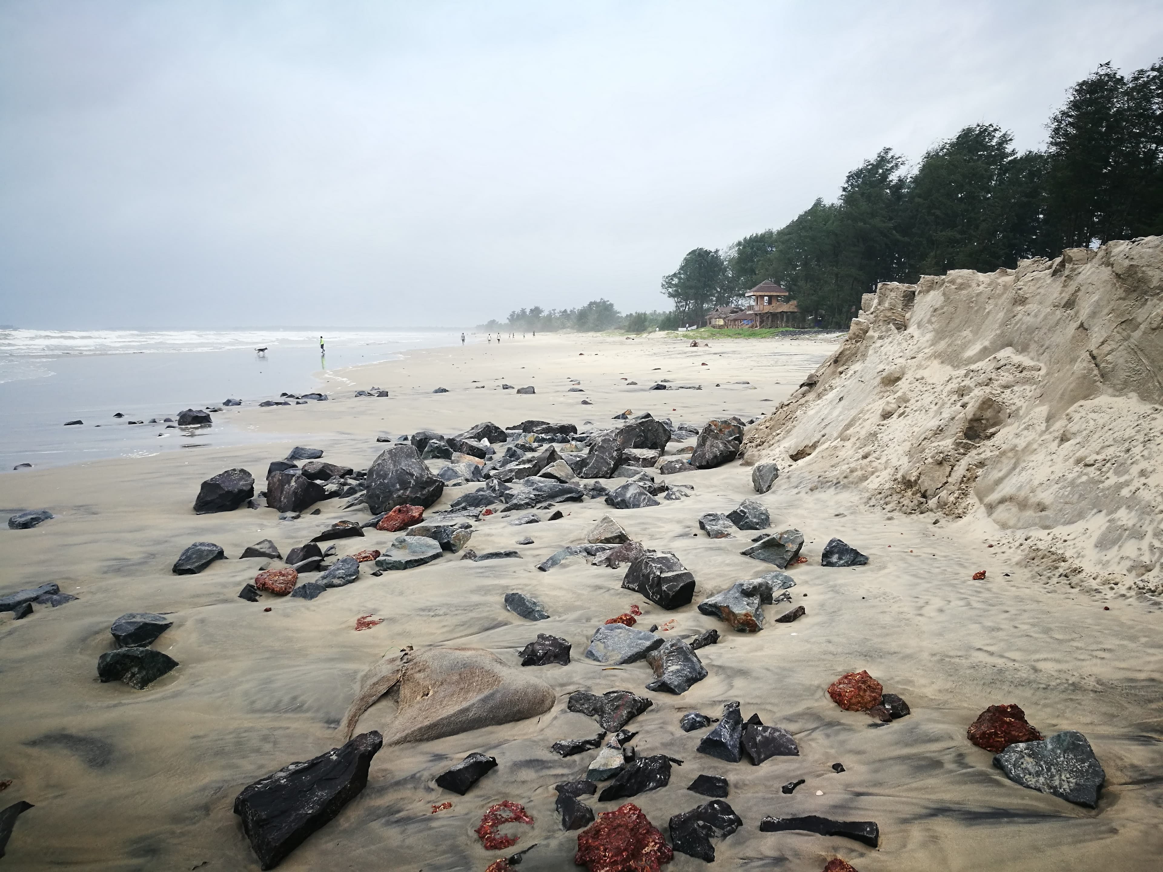 malvan3.1