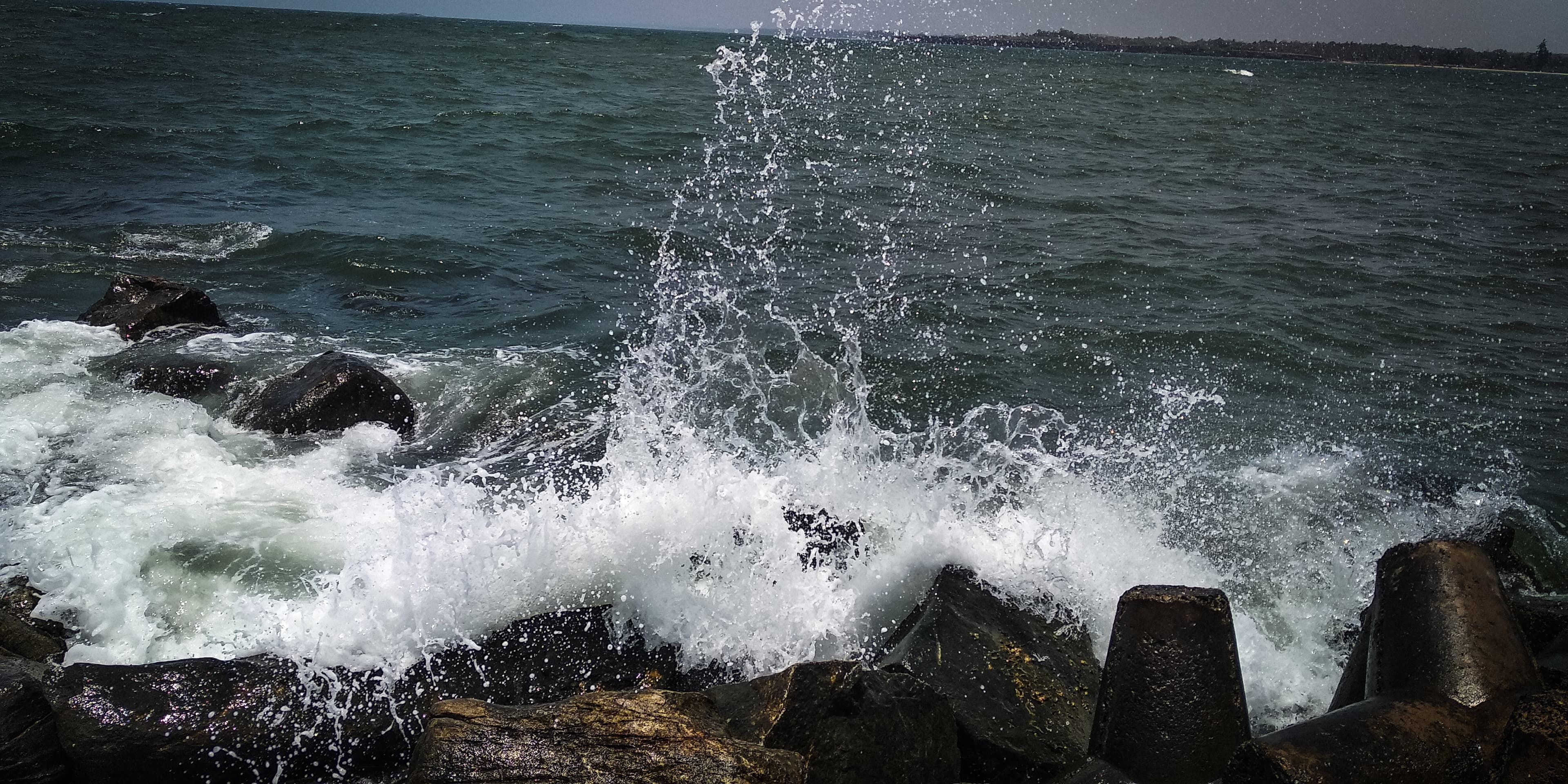 malvan3