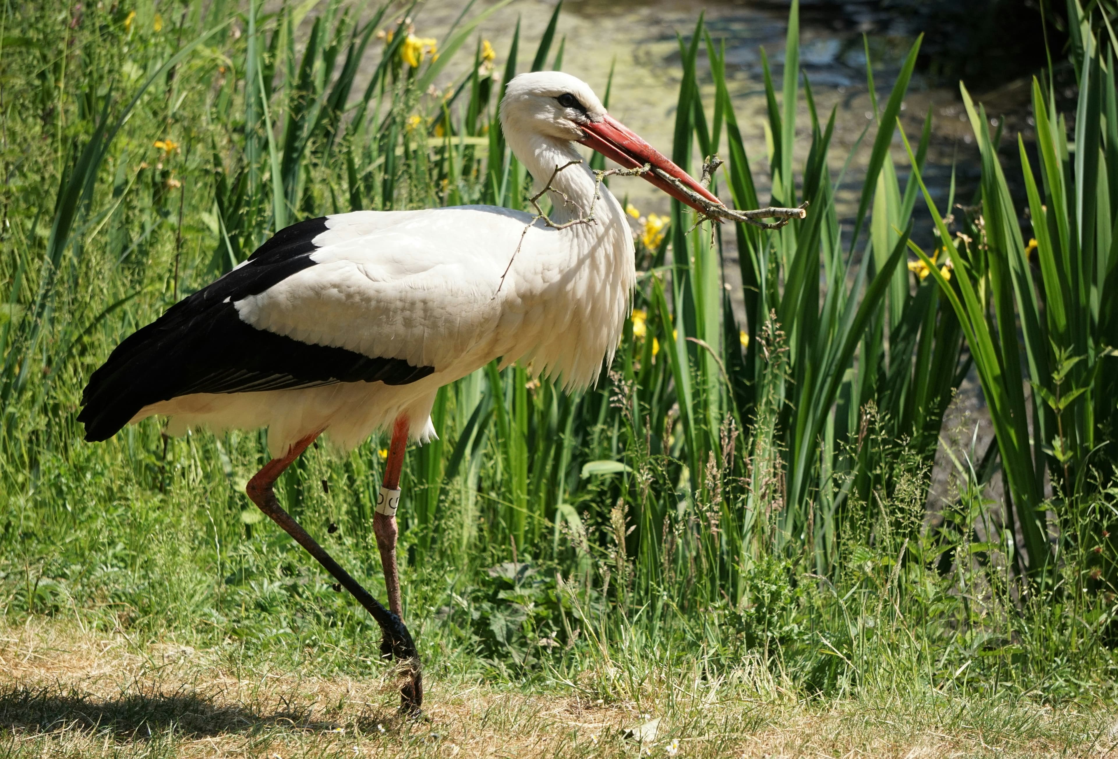 nancy-hughes-2jo0upozxyc-unsplash