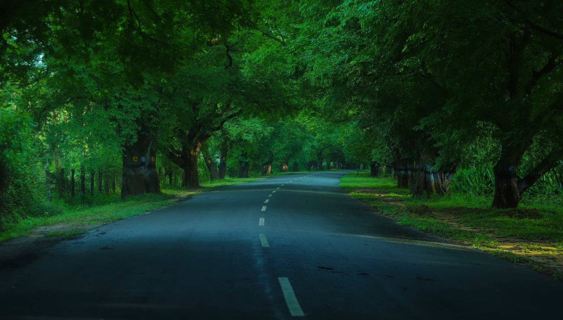 offbeat-weekend-getaways-from-chennai