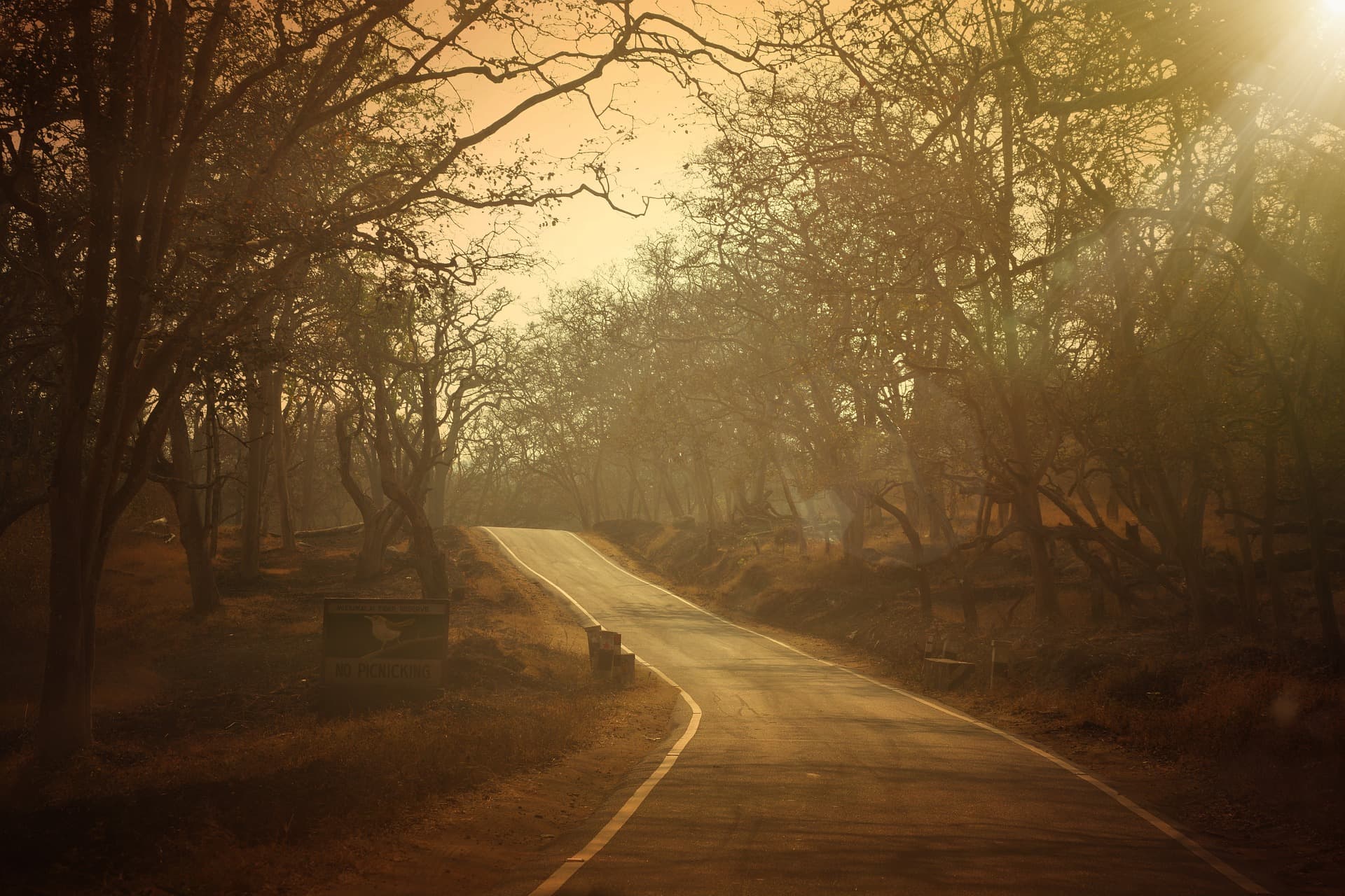 old-goa03