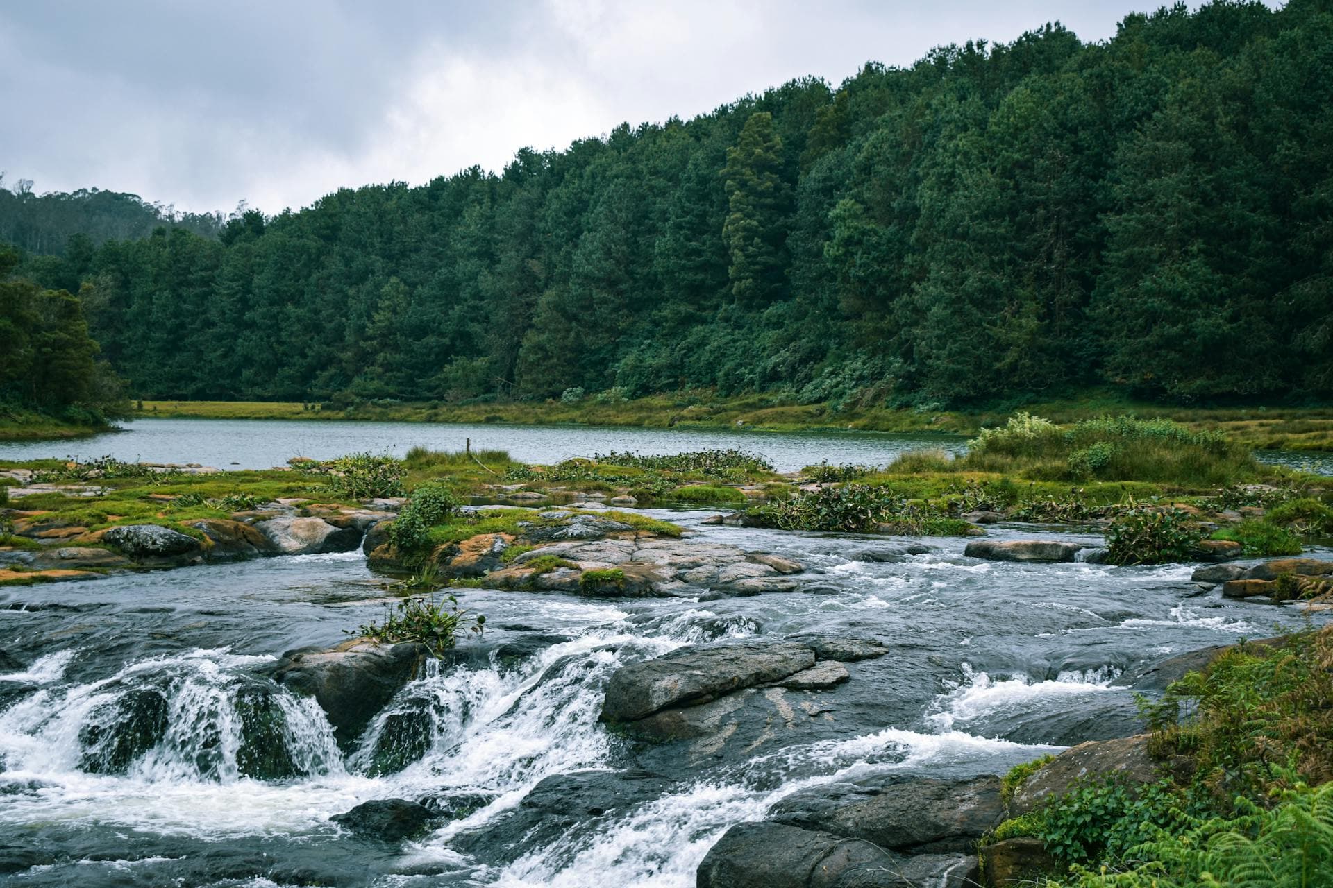 offbeat things to do in ooty
