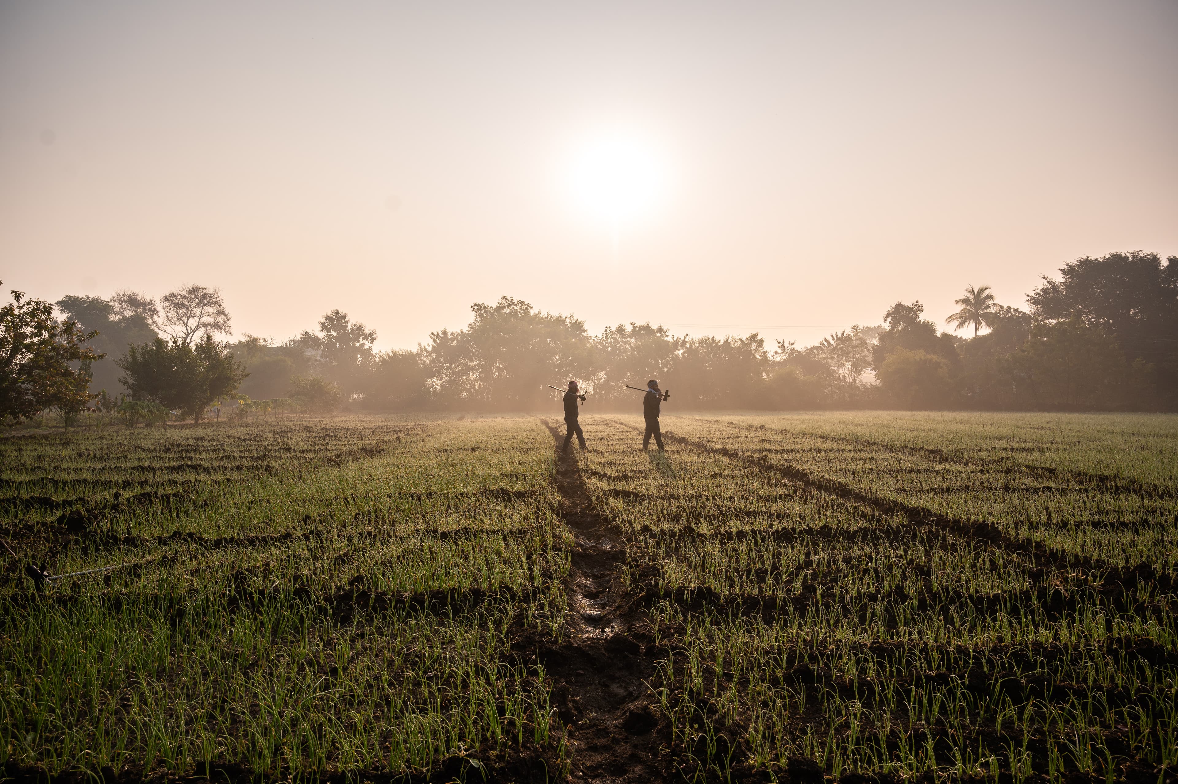 raghvendra-dubey-tki7ktupwra-unsplash