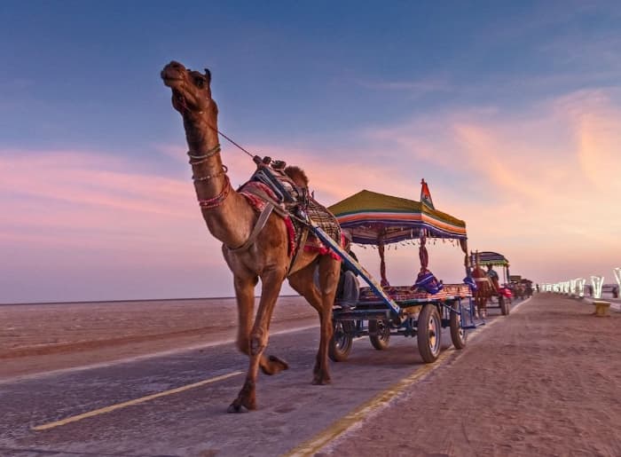 White Rann salt desert near Dhordo in Kutch, Gujarat, during Rann Utsav