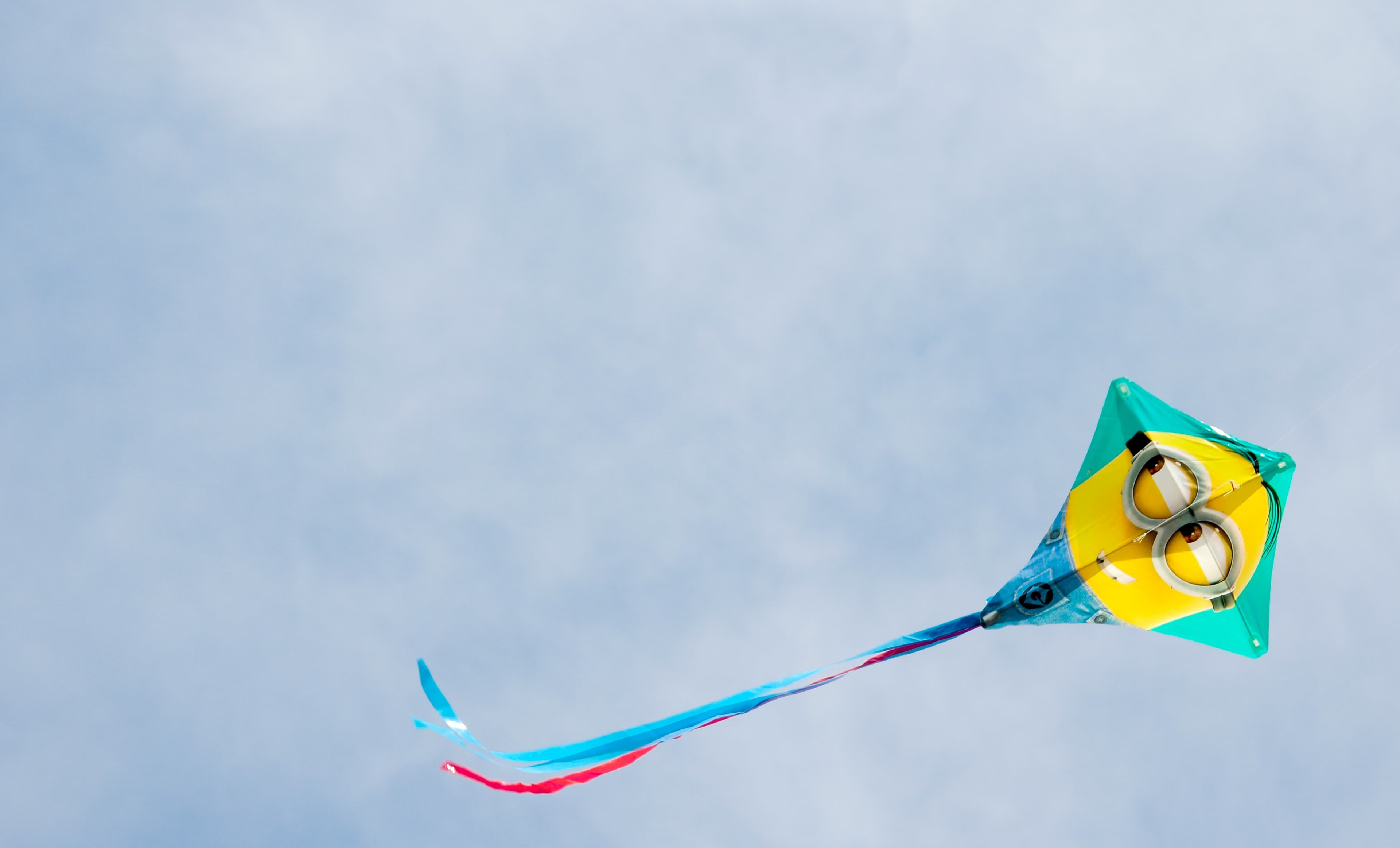 rene-vincit-z1guzq1d59s-unsplash