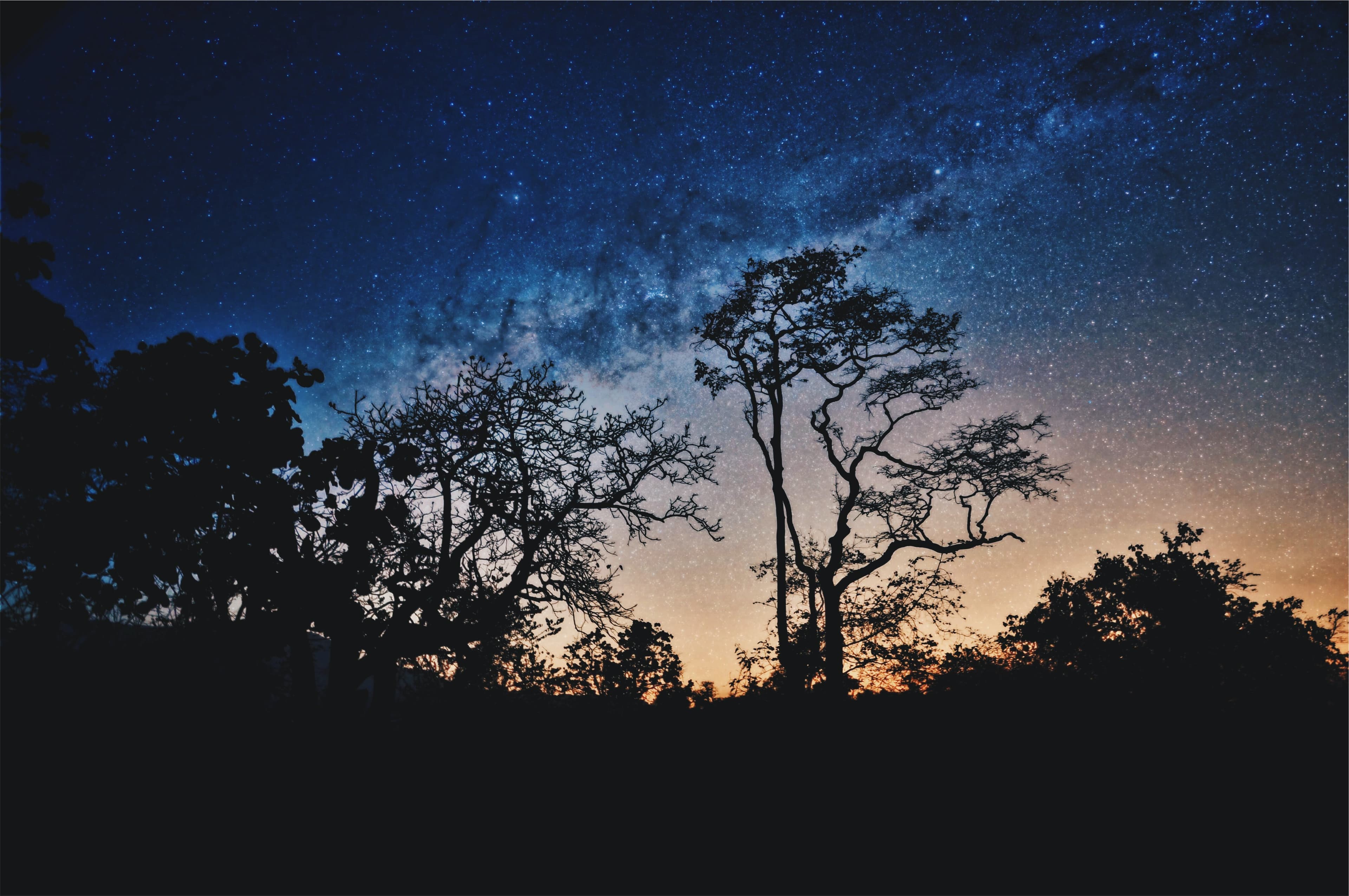 shashank-acharya-8riFHUtqoXM-unsplash
