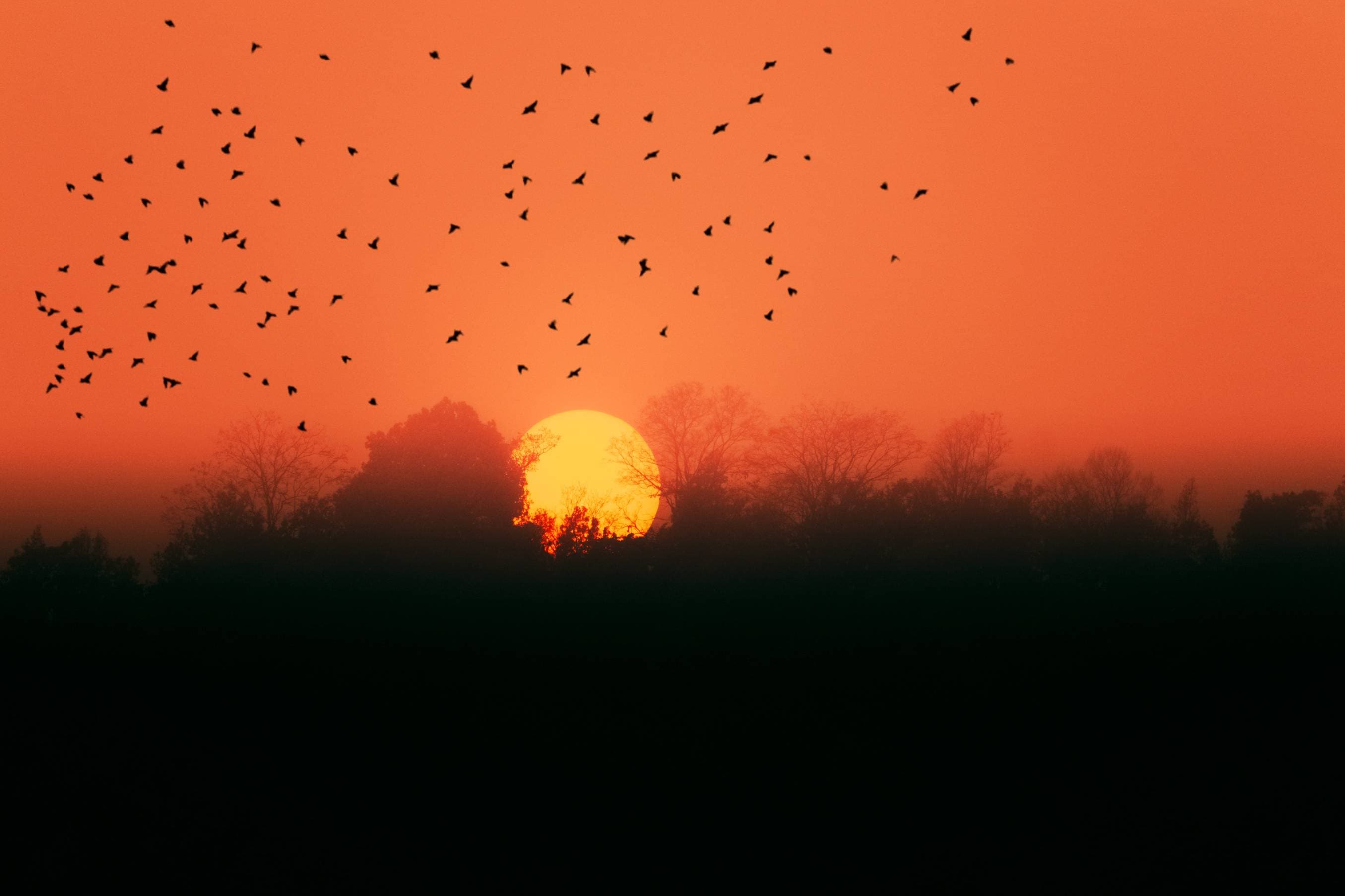 Sunsets In Kolkata