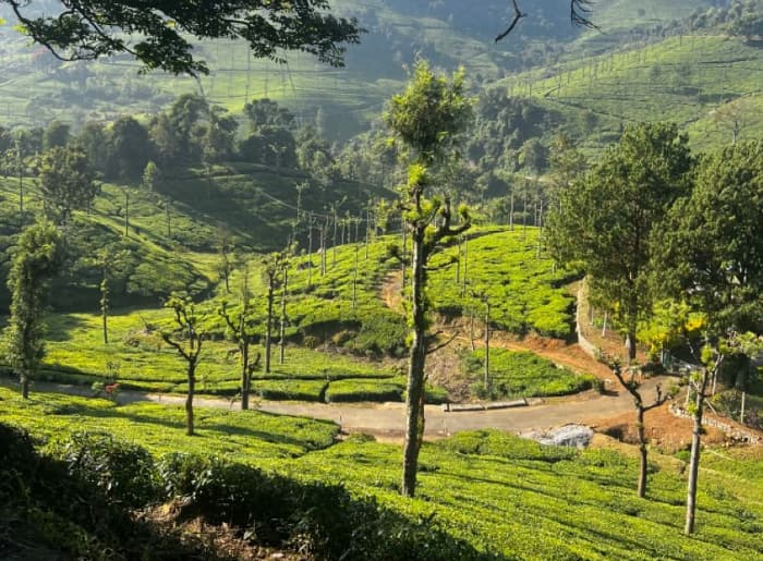 Three-day travel destinations from Bengaluru