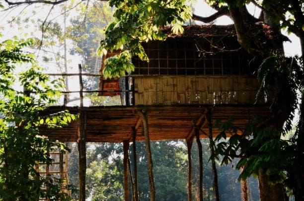 treehouse