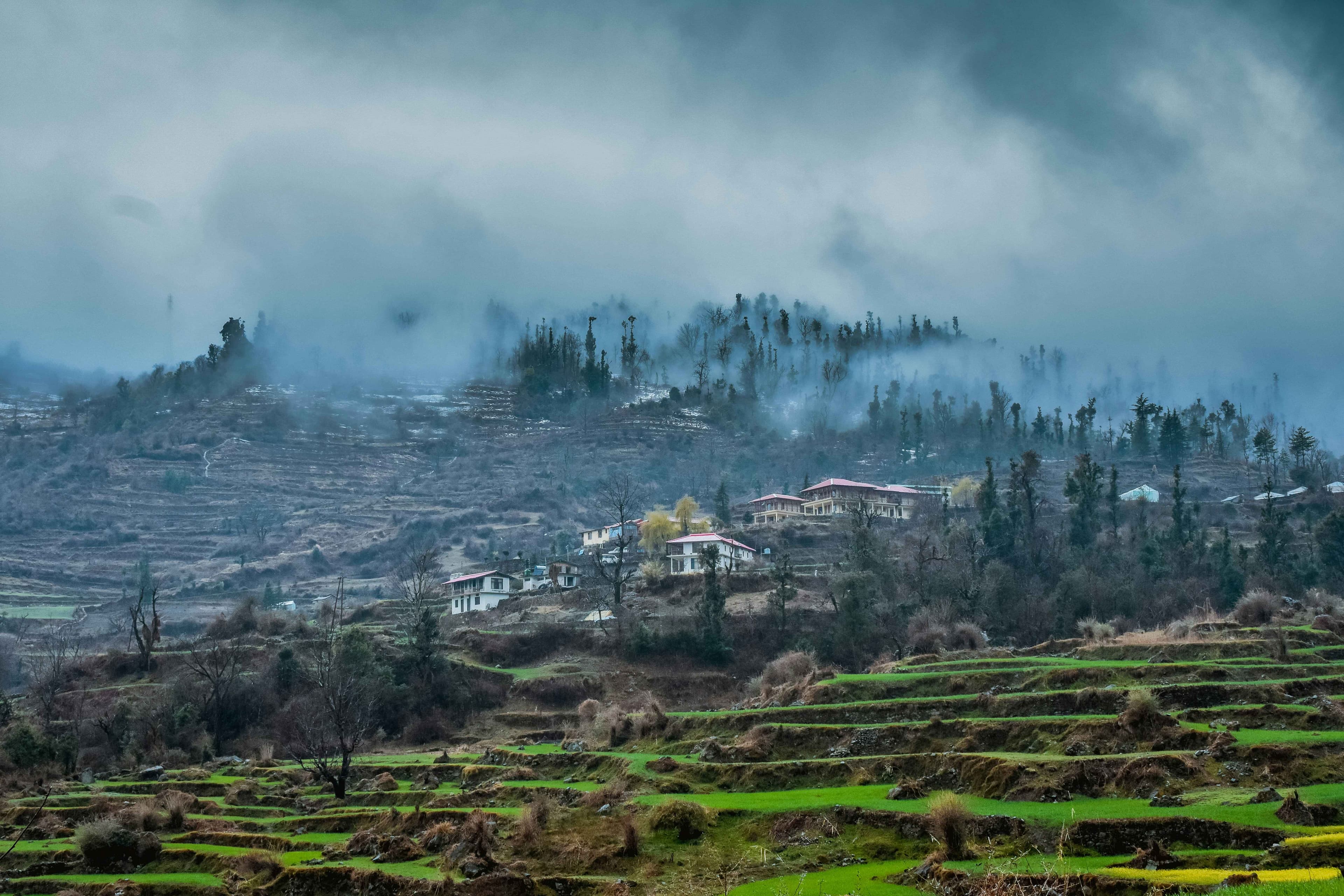 vivek-vatsyayn-lnXFFBFuISo-unsplash (1)