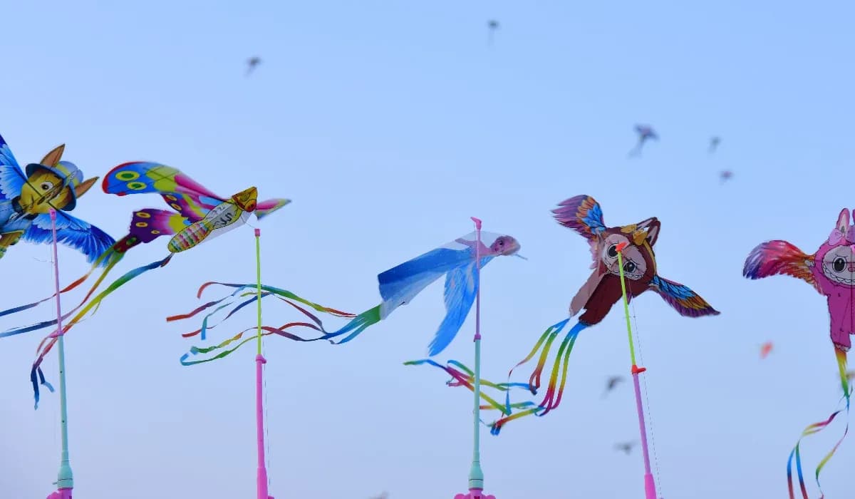 Winter Festivals In India