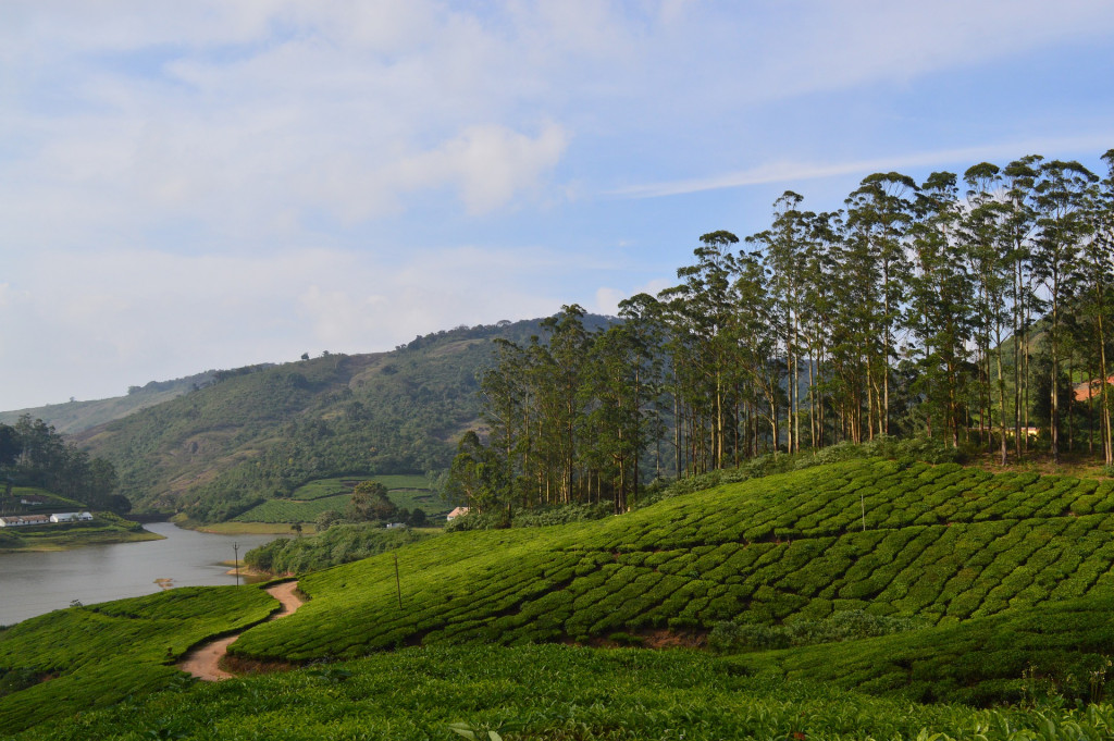 6331b506ee4af Best Hill Stations In Tamil Nadu For A Break 1024x681 1