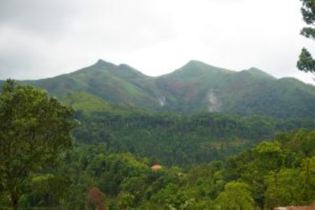 Karnataka Suspends Forest Treks