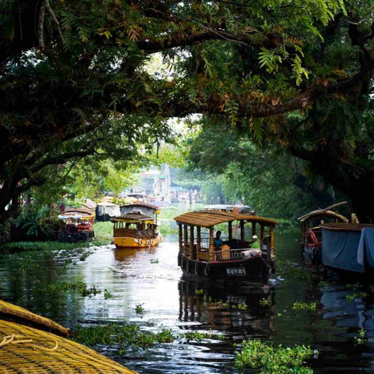 Things To Do In Kerala In December