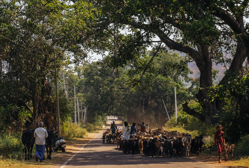 Chikmagalur Travel Guide