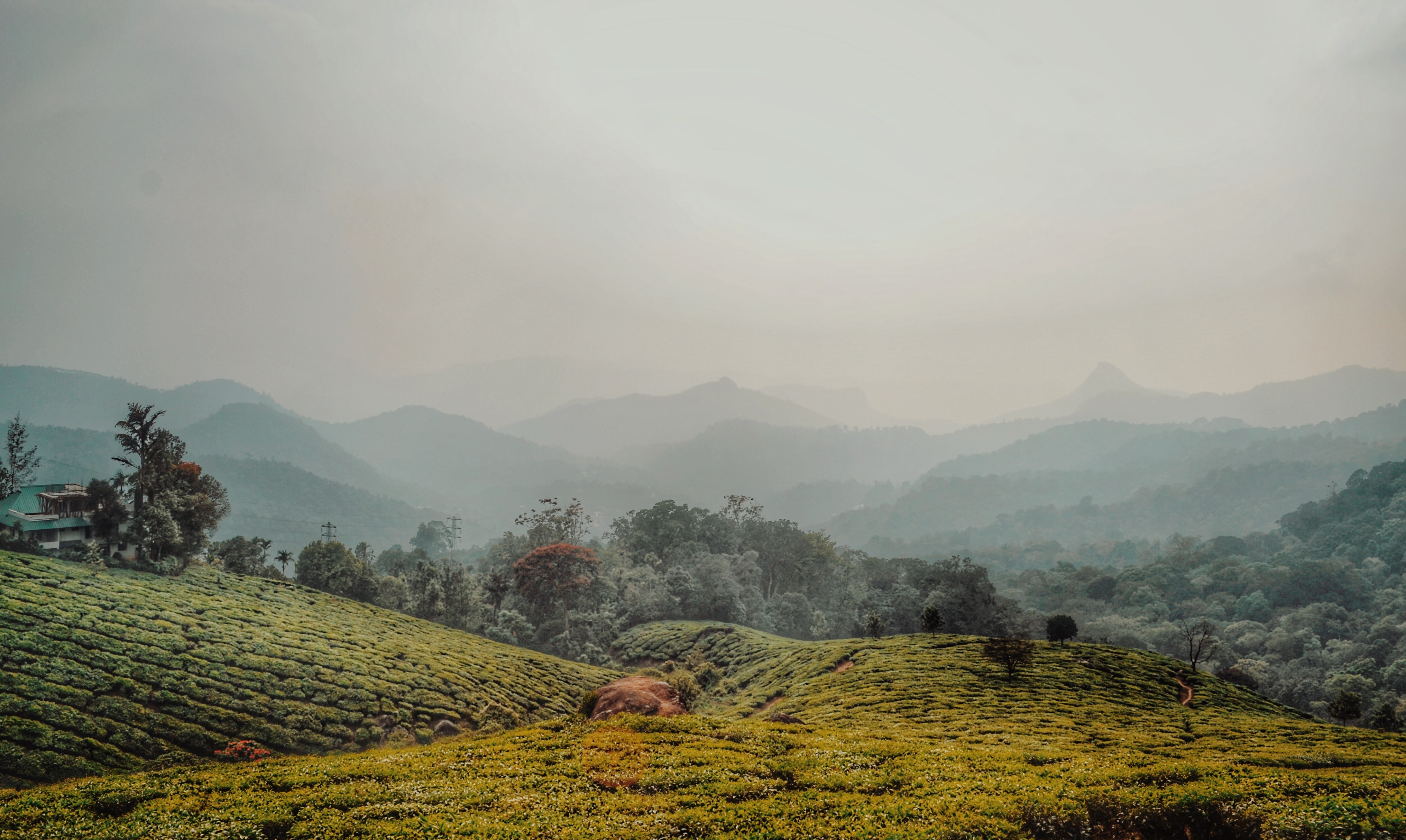 Coorg In Summer