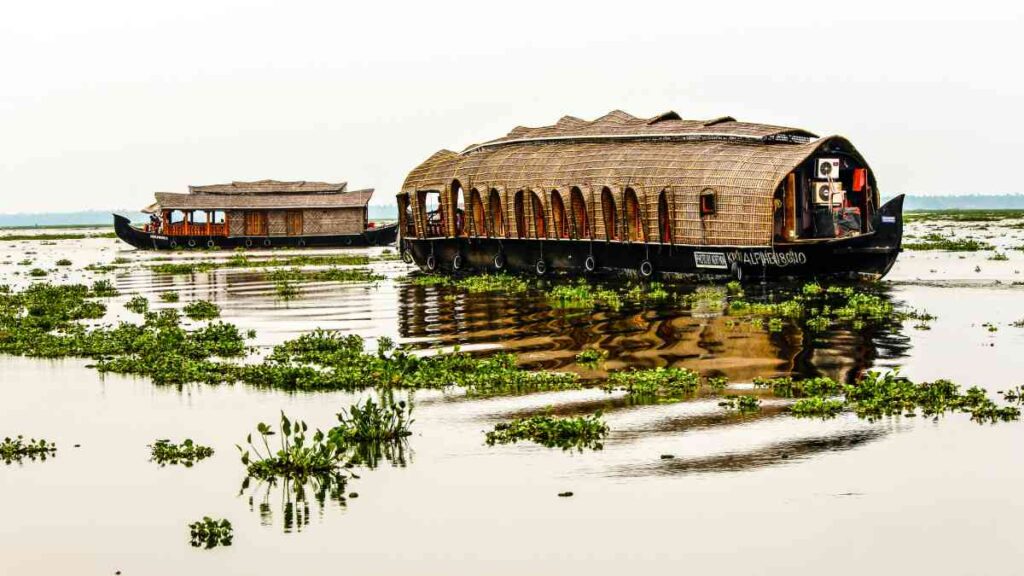 Getting Around Kerala