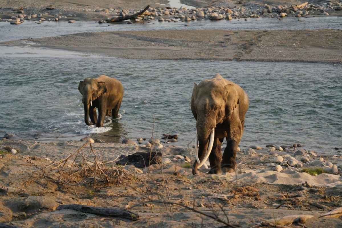 Jim Corbett National Park, Uttarakhand